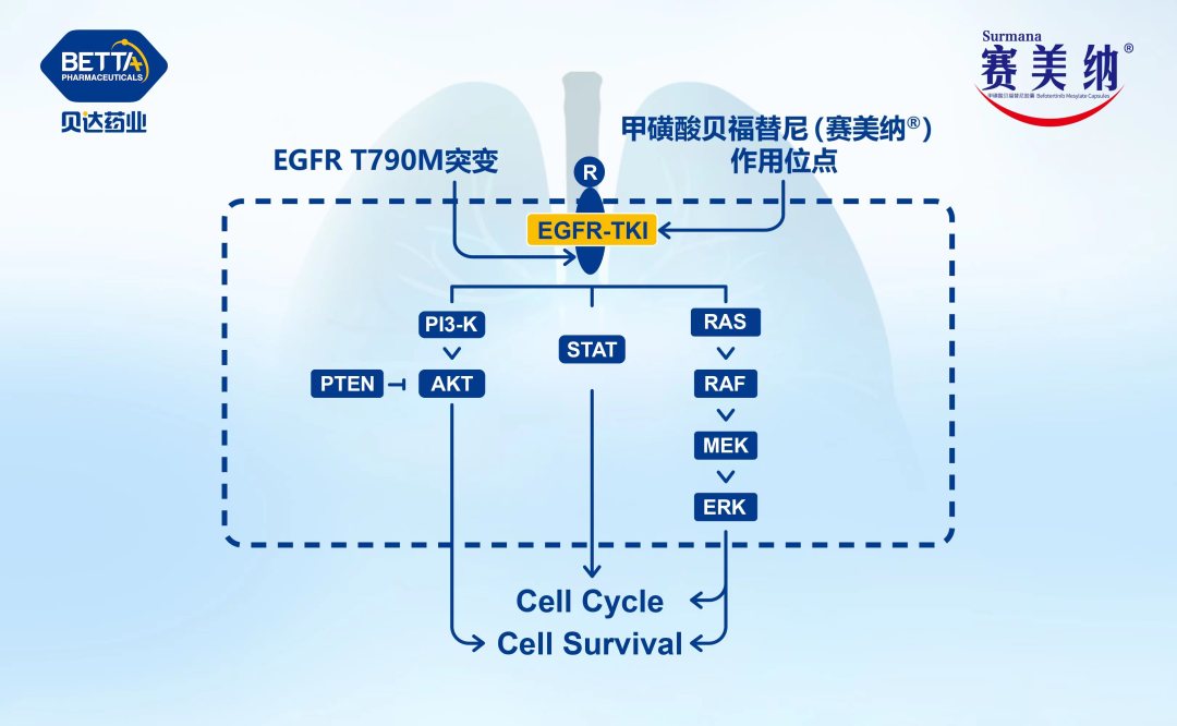 微信图片_20231013084512.jpg